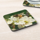 Honey Bee on Plum Blossom Hard Plastic Coaster コースター (左側)