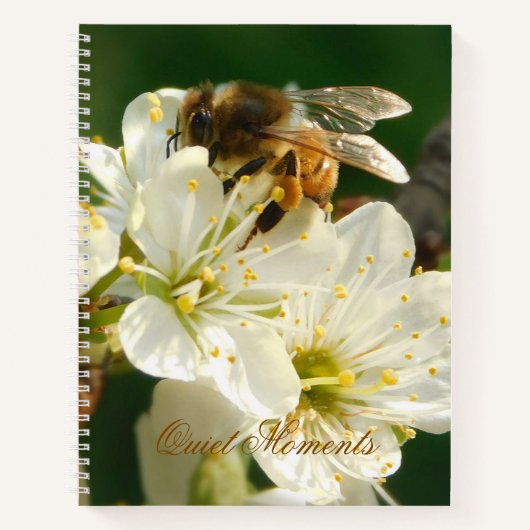 Honey Bee on White Plum Blossom Journal ノートブック (正面)