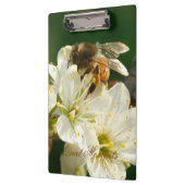Honey Bee Plum Blossom Nature Study Clipboard クリップボード (左)