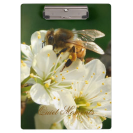 Honey Bee Plum Blossom Nature Study Clipboard クリップボード
