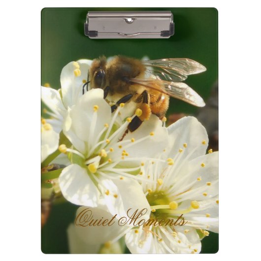 Honey Bee Plum Blossom Nature Study Clipboard クリップボード (正面)