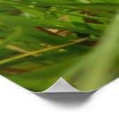 Honey Fungus Poster ポスター (角)