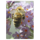 HoneybeeとBuddleia花のクリップボード クリップボード (裏面)