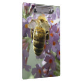 HoneybeeとBuddleia花のクリップボード クリップボード (右)