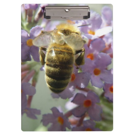 HoneybeeとBuddleia花のクリップボード クリップボード (正面)