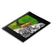 Honeybee 6.5x8.75スパイラルノートブック ノートブック (左側)
