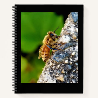 Honeybee 8.5x11ノートブック ノートブック