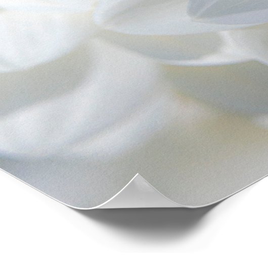 Honeybee on a Dahlia ポスター (角)