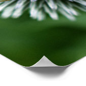 Honeybee on Globe Thistle Floral ポスター (角)