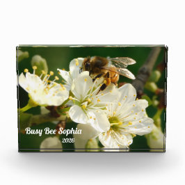 Honeybee & White Plum Macro | Custom Photo Block フォトブロック
