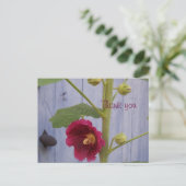 Honeysuccleは郵便はがき感謝していしています ポストカード (スタンド正面)