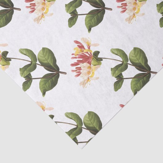 Honeysuckle Flower Pattern 薄葉紙 (詳細)