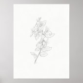 Honeysuckle sketch art print ポスター (正面)