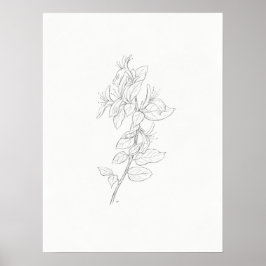Honeysuckle sketch art print ポスター