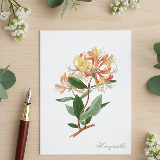 Honeysuckle Vine Vintage Botanical Postcard ポストカード