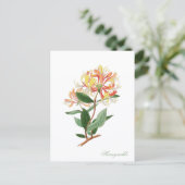 Honeysuckle Vine Vintage Botanical Postcard ポストカード (スタンド正面)