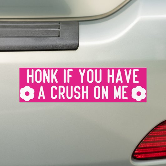 honk if you have a crush on me バンパーステッカー (車上)