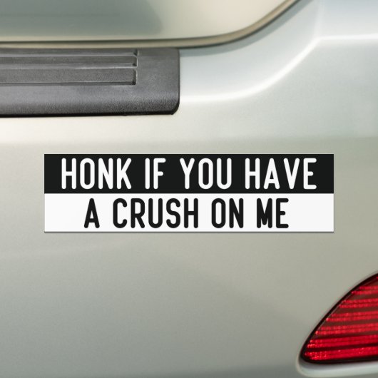 honk if you have a crush on me バンパーステッカー (車上)
