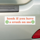 honk if you have a crush on me バンパーステッカー (車上)