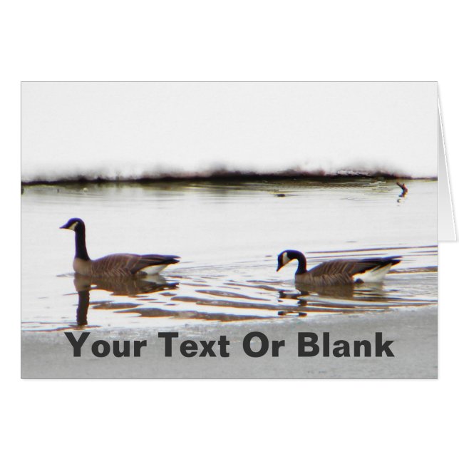 Honkers – カナダゲーゼ (正面横)