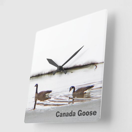 Honkers – カナダゲーゼ スクエア壁時計 (傾斜)