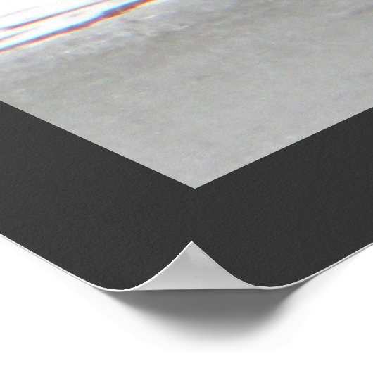 Honkers – カナダゲーゼ ポスター (角)