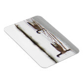 Honkers – カナダゲーゼ マグネット (右側)