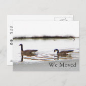 Honkers – カナダゲーゼ 案内ポストカード (正面/裏面)