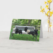 Honor Little Benchの写真 カード (黄色い花)