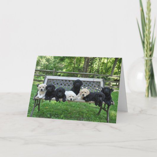 Honor Little Benchの写真 カード (正面)