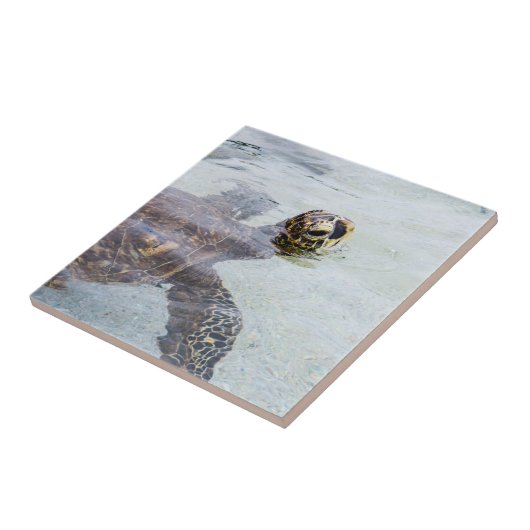 Honuのハワイのウミガメ-ハワイのカメ タイル (側面)
