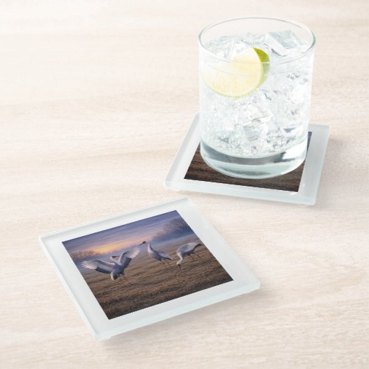 Hooded Cranes in Winter -  ガラスコースター (アングル)