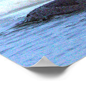 Hooded Merganser Duck Poster ポスター (角)