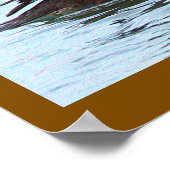 Hooded Merganser Duck Poster ポスター (角)