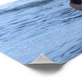 Hooded Merganser Duck Poster ポスター (角)