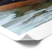 Hooded Merganser Duck Poster ポスター (角)
