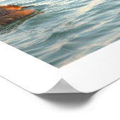 Hooded Merganser Ducks Poster ポスター (角)