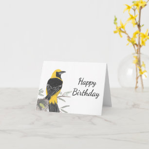Hooded Orioleホワイトバックグラウンド誕生日 カード