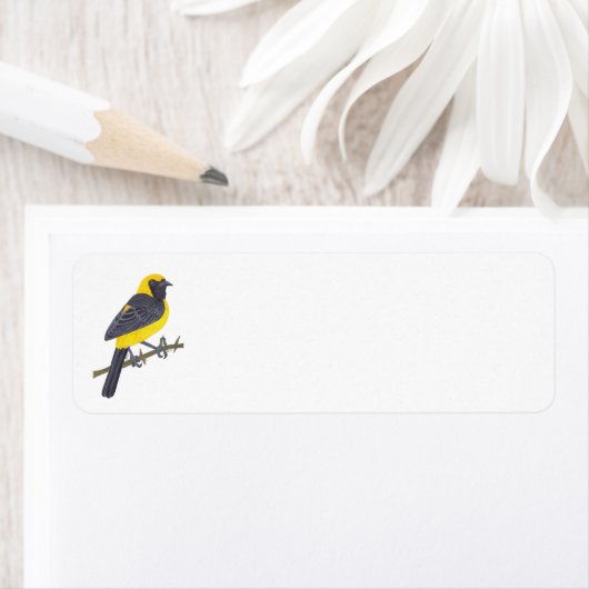 HOODED ORIOLE ラベル (インサイチュ)