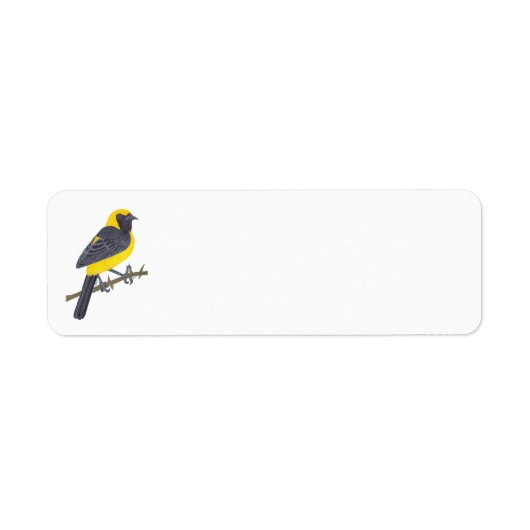 HOODED ORIOLE ラベル (正面)