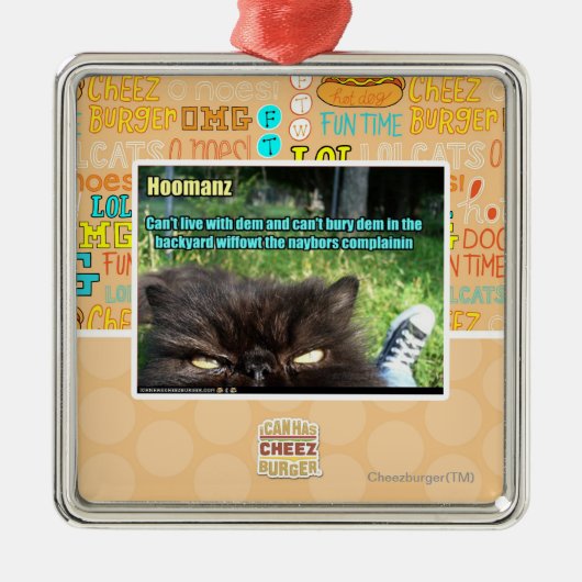 Hoomanz メタルオーナメント (正面)