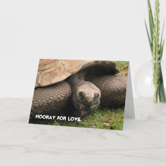 Hooray愛のために シーズンカード (正面)