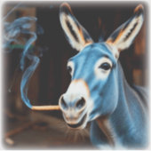 HOOTING DONKEY シール (正面)