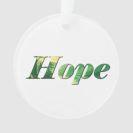 Hope. オーナメント