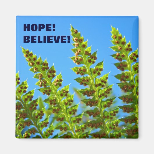 HOPE! マグネット BELIEVE! 緑の森のシダの葉 (正面)