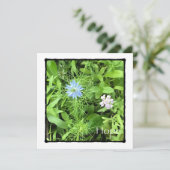 Hope 5.25 x 5.25平方 カード (スタンド正面)