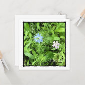 Hope 5.25 x 5.25平方 カード (正面/裏面インサイチュ)