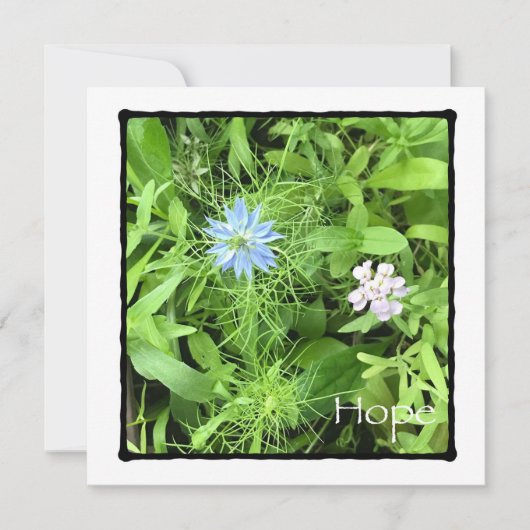 Hope 5.25 x 5.25平方 カード (正面)