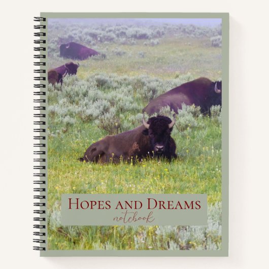Hope and Dreams Notebook ノートブック (正面)