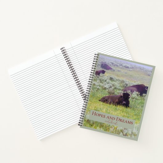 Hope and Dreams Notebook ノートブック (内部)